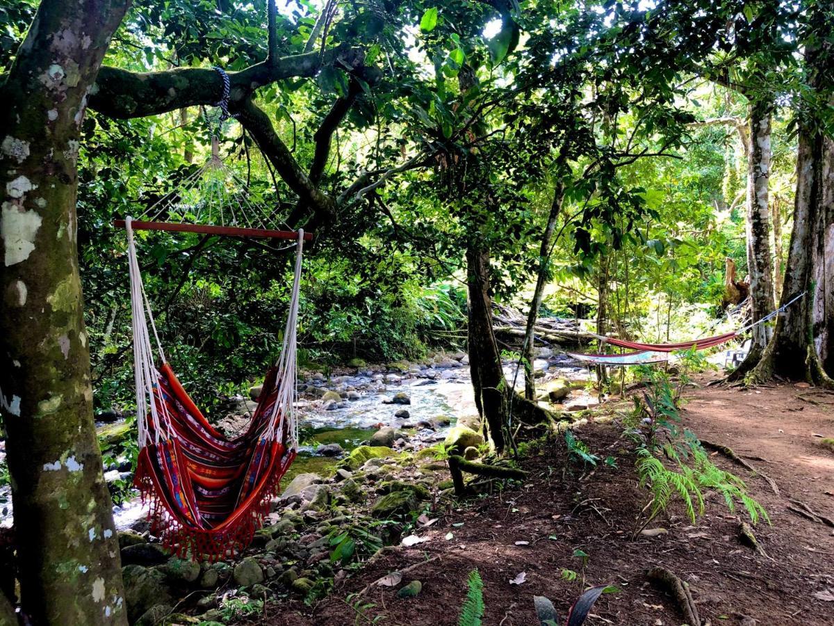 Buena Onda Jungle Lodge Ojochal Exterior foto